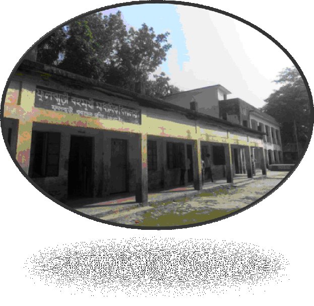 Fuljhure M.L. High School