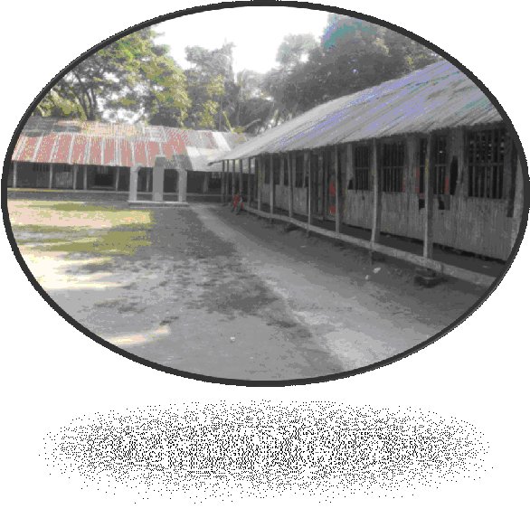 Barguna Adarsha Girls High School